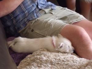 <img300*0:stuff/Meadhbh%20044.jpg>