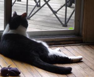 <img300*0:stuff/Meadhbh%200n11.jpg>