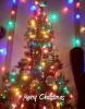 MeeeerrrrryyyyChriiiisssttmmaas!_