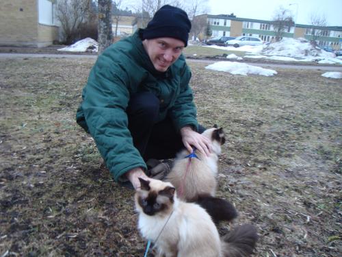 <img500*375:stuff/Meeting_Birmans.jpg>