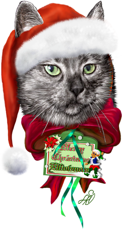 <img:stuff/MerChristmasETersFromLilo244.png>