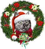 <img:stuff/MerChristmasETersFromLilo_wreath144.png>