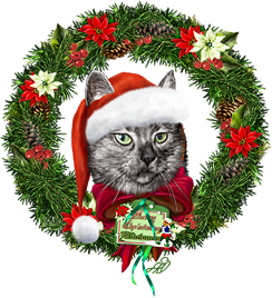 <img:stuff/MerChristmasETersFromLilo_wreath244.png>