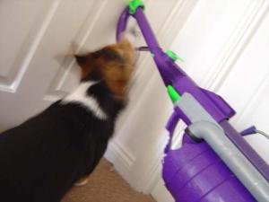 <img300*0:stuff/Merlin_Friendship_by_Dangerous_Salome.jpg>
