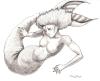 <img100*0:stuff/Mermaid.jpg>