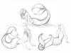 <img100*0:stuff/Mermaids.jpg>