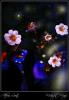 <img0*100:stuff/Midnight_midsummer_magic_fairy.jpg>
