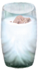 <img:stuff/Milk_n_Cookie_blue75.png>