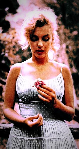 <img0*592:stuff/Miss_Monroe.jpg>