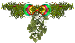 <img:stuff/MistletoeNbowNevergreen.png>