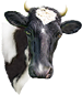 <img:stuff/Moo-1_75.png>