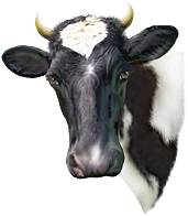 <img:stuff/Moo-1_SM_rev.png>