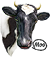 <img:stuff/Moo-2_50.png>