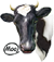 <img:stuff/Moo-2_50_rev.png>