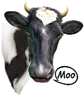 <img:stuff/Moo-2_SM.png>