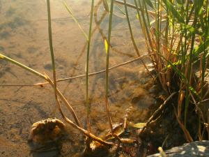 <img300*0:stuff/More_Murk_Again....jpg>