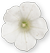 <img:stuff/MornGloryBullet1.png>