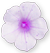 <img:stuff/MornGloryBullet3.png>