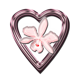 <img300*0:http://elftown.heddate.com/stuff/MorningstarRisingPinkHeartFlower2.png>