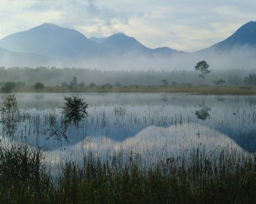 <img500*0:stuff/MountainScene02.jpg>