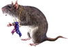 <img:stuff/MouseW-chewedsocks100.png>