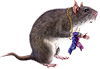 <img:stuff/MouseW-chewedsocks100_rev.png>