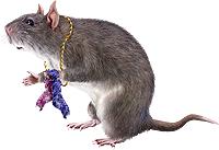 <img:stuff/MouseW-chewedsocks200.png>