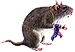 <img:stuff/MouseW-chewedsocks75_rev.png>