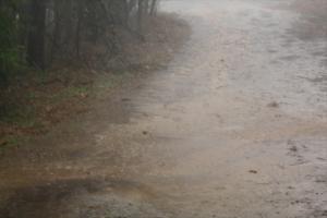 <img300*0:stuff/Muddy_Water.jpg>