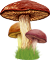 <img:stuff/MushroomTrio50_rev.png>