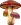 <img:stuff/MushroomTrioMood_rev.png>