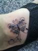 Musical_Butterfly
