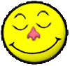 <img:stuff/MySmileyFacesHappyDreamsSM.gif>