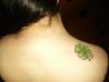 My_Irish_Pride