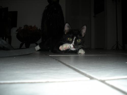 <img500*375:stuff/My_baby_Jack%21_3.jpg>
