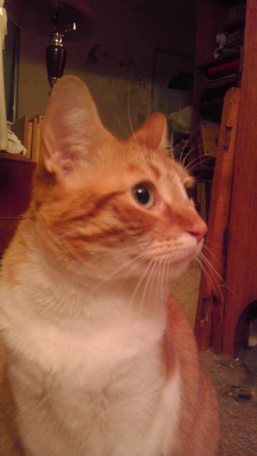 <img500*888:stuff/My_baby_boy_%e2%99%a1.jpg>