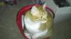 My_cat