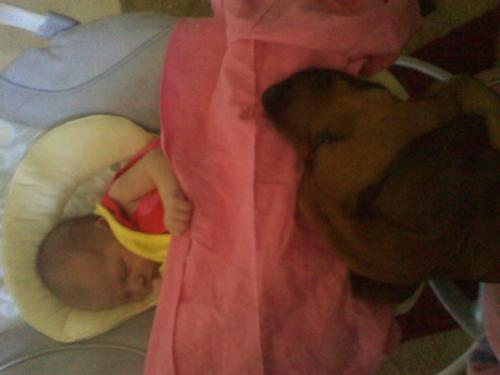 <img500*375:stuff/My_new_daughter_Elayna_and_our_guard_dog_Lucy..._.jpg>