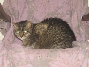 <img300*0:stuff/N%20on%20GM%27s%20chair.jpg>