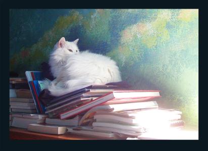 <img0*300:stuff/N-n%20bookcat.jpg>