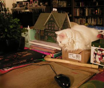 <img0*300:stuff/N-n%20housecat.jpg>