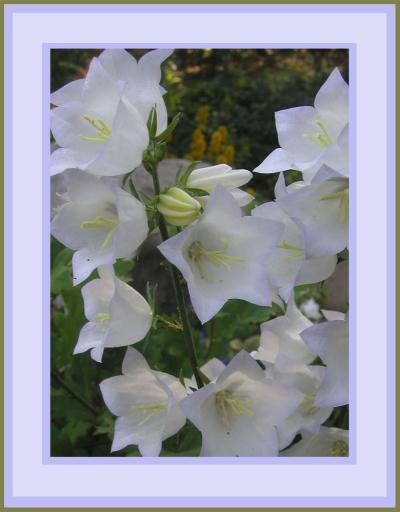 <img400*0:stuff/Nature%27s%20Soul.jpg>
