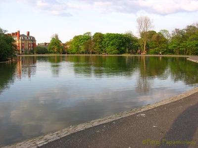 <img400*0:http://elftown.heddate.com/stuff/Ncl3.jpg>