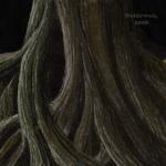 <img150*0:stuff/Nehirwen-TreeRoots-WIP.jpg>