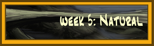 <img:stuff/NehirwenPortfolioBannerWeek5Natural.jpg>