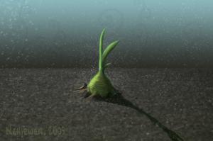<img300*0:stuff/NehirwenPortfolioSpring.jpg>