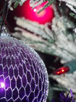 <img300*0:stuff/Nets.jpg>