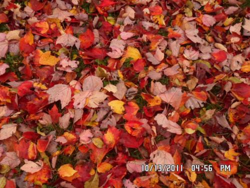 <img500*375:stuff/NewCamera.jpg>