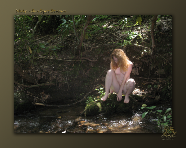<img600*0:stuff/Nicky-Sun-Spot-Stream.png>