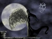 <img200*0:stuff/NightAngel.jpg>
